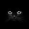 Avatarul lui blackcat